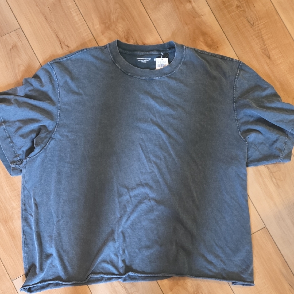 Abercrombie & Fitch Blue Short Sleeve Tee